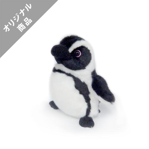 ケープペンギンSS /【Buyee】 