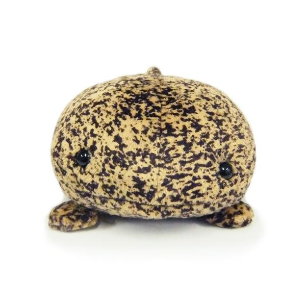 オオサンショウウオころりん〈M〉 :4562208834802:京都水族館 オンラインショップ - Kyoto Aquarium 4562208834802 2