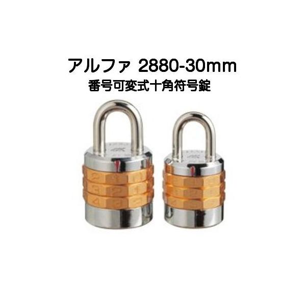 At@ 2880-30mm ԍώ\pi3^Cvj