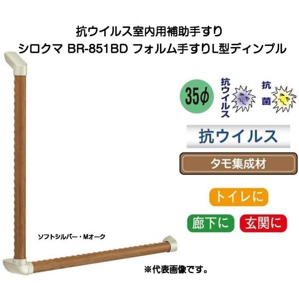 VN} RECXp⏕肷 BR-851BDitH肷L^fBvETCY600×600j