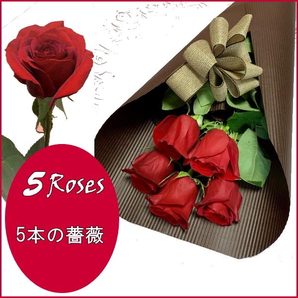 遺品整理　中国切手 未使用 5冊 バラ 薔薇 遺品整理 中国切手 未使用 5冊 バラ 薔薇 遺品整理 中国切手 未使用 5