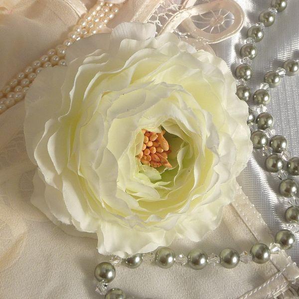 RT[W   iLXEzCgEGfBO NX^̓p[t