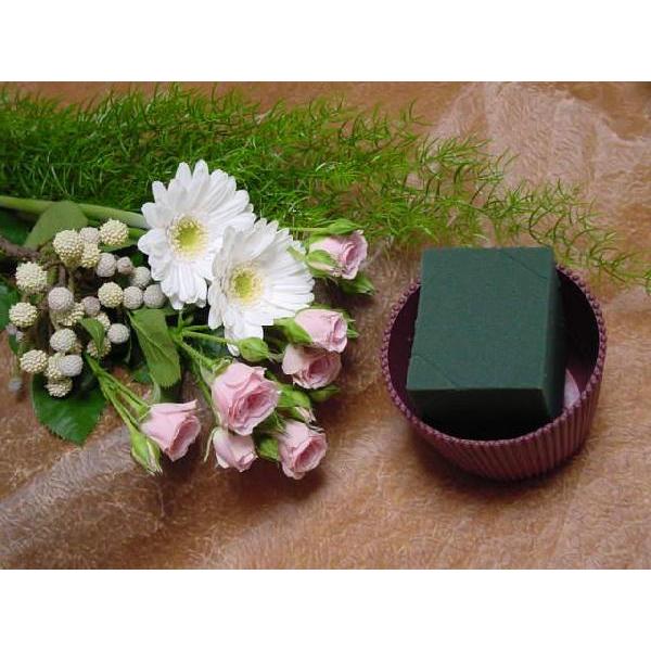 lbgŎu C^[lbgʐMwKt[AWg bXZbg RA