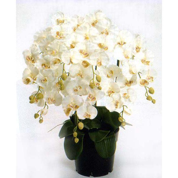 C GKX t@mvVXӒ N[zCgF 5{