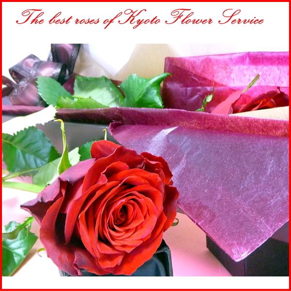 極上のバラ一輪 Buyee 日本代购平台 产品购物网站大全 Buyee一站式代购bot Online