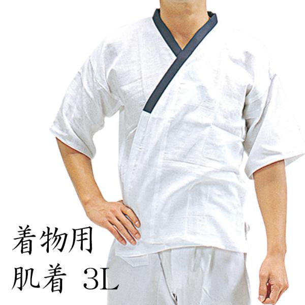 肌襦袢 男性 肌着 3L 綿100％ ガーゼ生地 紳士 メンズ 殿方 男物 和装