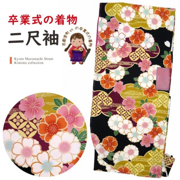 sst. ڑ V[g  їp Ǝ Pi Ђ uh   t[TCY @un ÓTvHKM-1