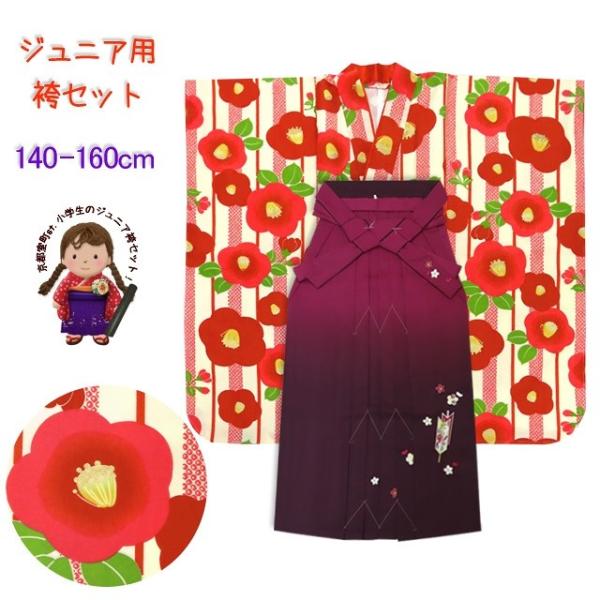 sst. Ǝ w ̎q уZbg w WjAU ڂhJ R_Zbgu ցvJFK531jygse