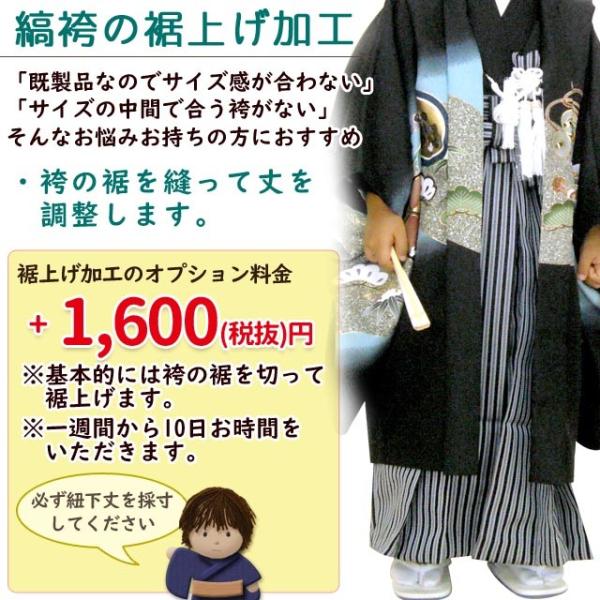 七五三 男の子 袴 単品 3歳男児用こどもはかま 紐下53cm 黒棒縞 Ohb B53 Skilledstaffsources Com