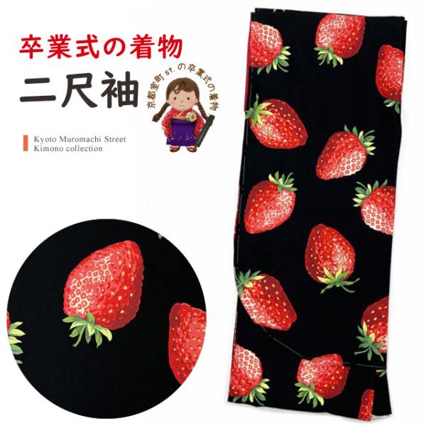 sst. Ǝ̒ 䕿̓ڑ Pi V[g t[TCYunA䕁vT2K-2179