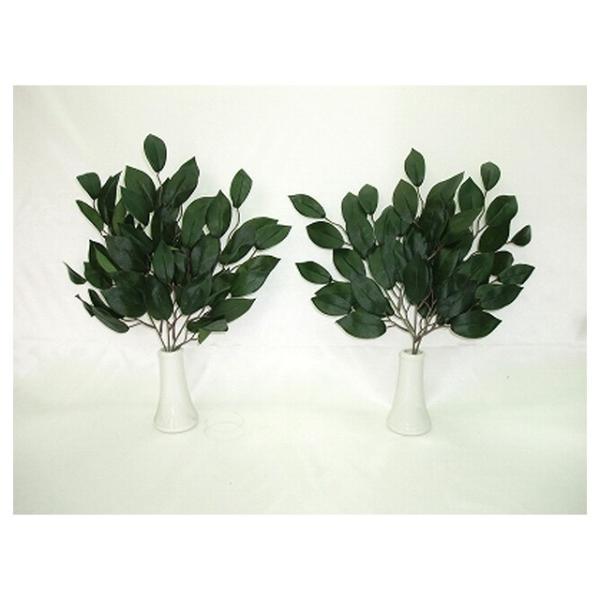 yWP-101z  WP101 Zbg  93517