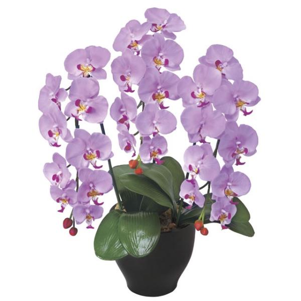 ̊y (21K120-79) ӒZ[XL  92647