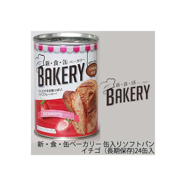 [] VEHEʃx[J[ ʓ\tgpEC`Siۑj×24ʓ ʃp VRy H  04904