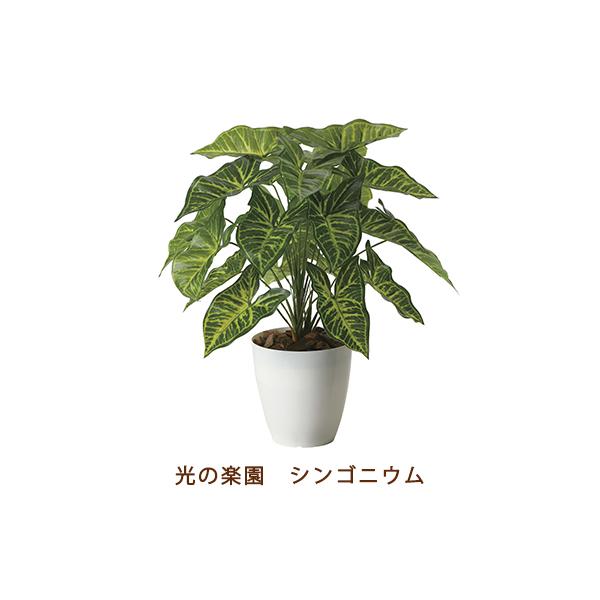 シンゴニウム Diy 工具の人気商品 通販 価格比較 価格 Com