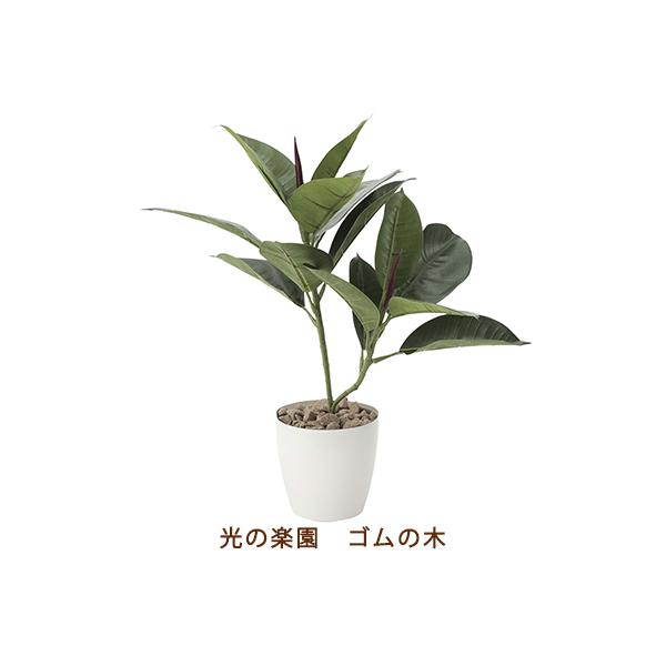 ̊y (637f50-68) S̖  99553