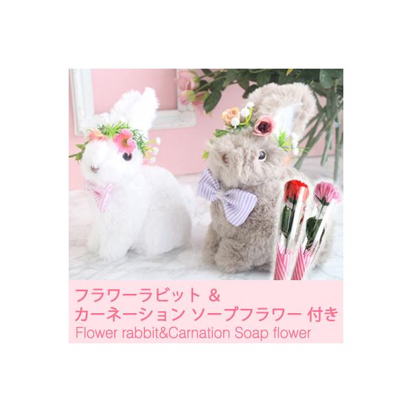 t[ zCg rbg  J[l[V \[vt[ t [63-06bb]  95056