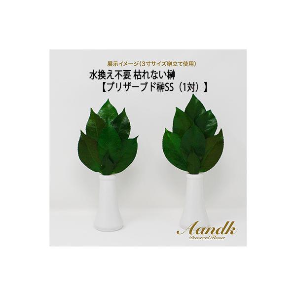 ●(郵送) 水換え不要 枯れない 榊  プリザーブド 榊 SS（1対） [SKK-007SS]  A＆K 送料無料 75588