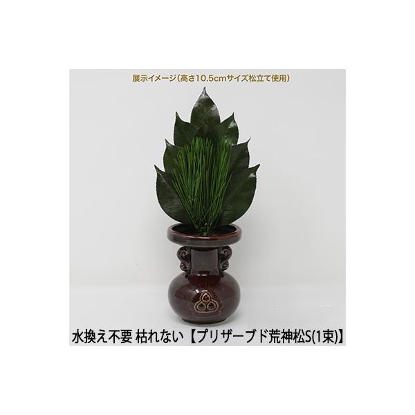 ●(郵送) 水換え不要 枯れない 榊  プリザーブド 荒神松 S（1束）  [KJM-004PS]  A＆K 送料無料 75594
