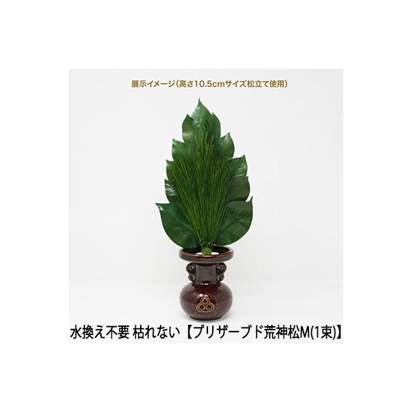 ●(郵送) 水換え不要 枯れない 榊  プリザーブド 荒神松 M（1束）  [KJM-003P]  A＆K 送料無料 75595