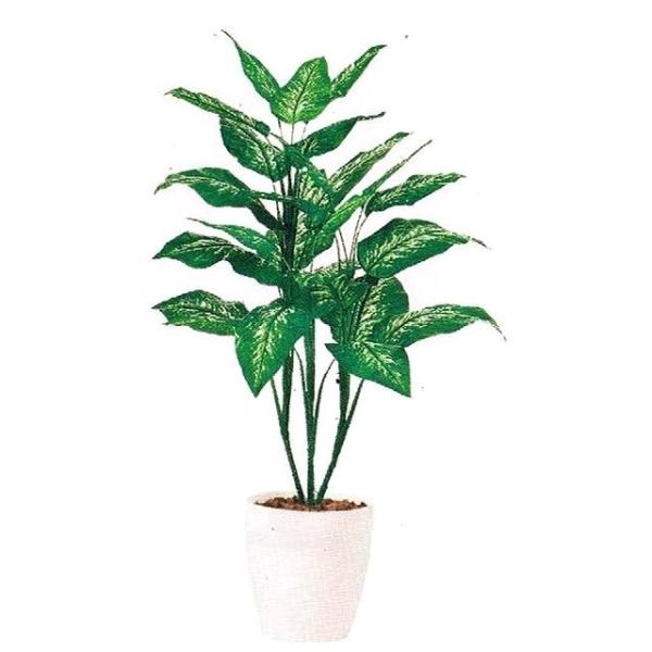 y99343zlHϗtA ftFoMA 1m  92875