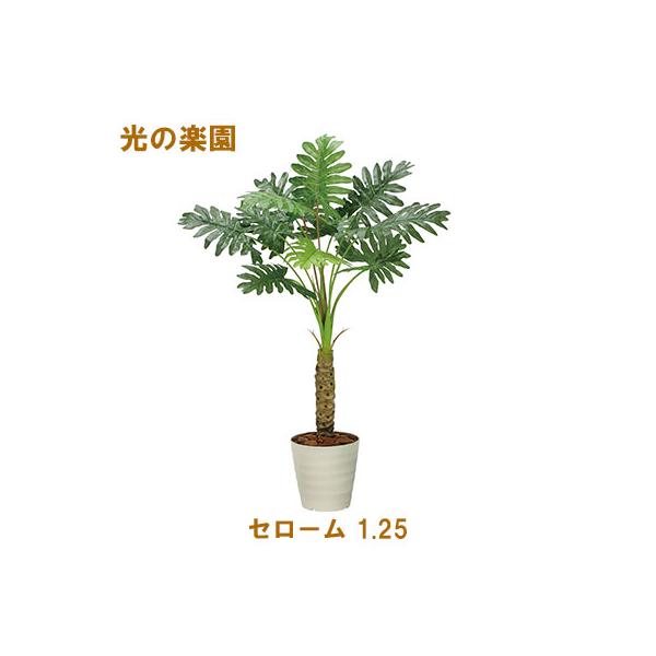 ●光の楽園 (2341A170-53) セローム 1.25 送料無料 95103