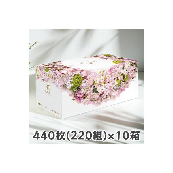 scottie 紙製品 箱ティシュ ティシュ サクラ 数量限定 限定デザイン 春の花 第一園芸 ふんわり感 まとめ買い
