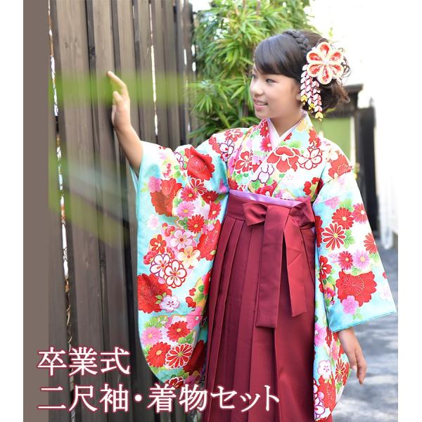 kyotorurihinagiku_10146