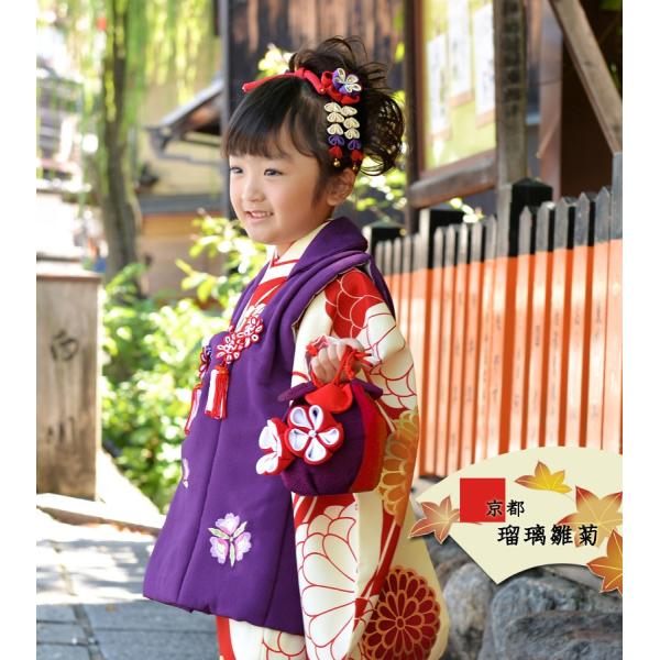 kyotorurihinagiku_9363 kyotorurihinagiku_9363