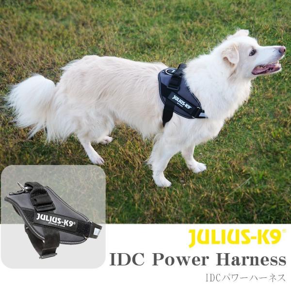 Julius-K9(ユリウスケーナイン)/IDCパワーハーネス/グレー/犬用/EU製/(SIZE0~3)/ペット/お散歩/ドッグラン/大型犬/フィット感No１/頭から装着  :JK9H-pwGR:One and only 通販 
