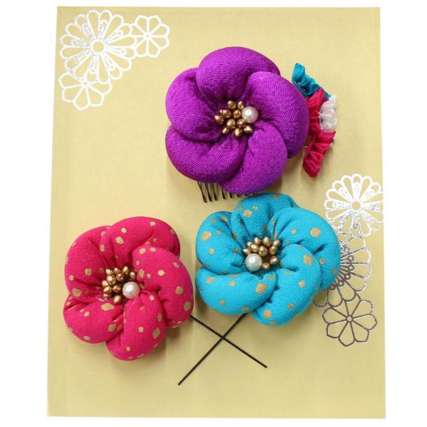  񂴂 a l Ǝ U    ߂  F sN ܂ݍ׍H 킢 3_Zbg {