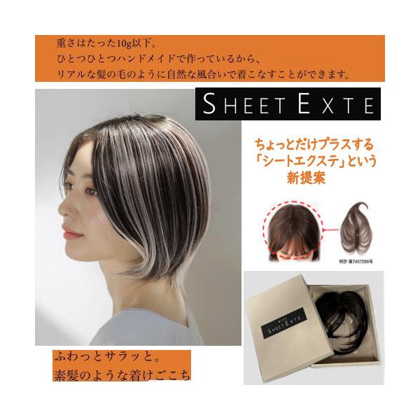 商品名  シートエクステ　トップエクステンションサイズ（毛長）ミディアムロング　フロント／14cm　サイド／30cm　トップ／30cm　バック／30cm重さ　８〜９ｇ材質   ファイバーヘア　【耐熱１８０℃（ドライヤーやアイロンの使用OK）...