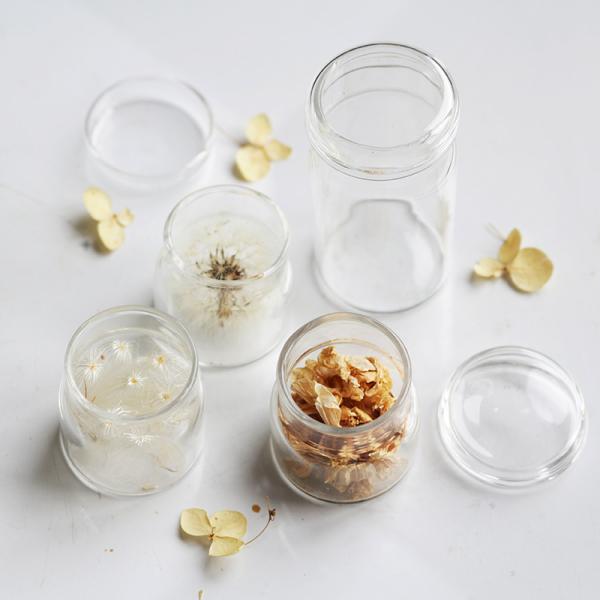 kyouto-bluelapin_ibk-41202