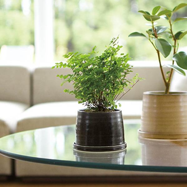 KINTO 鉢 - 農業資材・ガーデニング用品の人気商品・通販・価格比較 - 価格.com KINTO 鉢 - 農業資材・ガーデニング用品の人気商品・通販・価格比較 - 価格.com