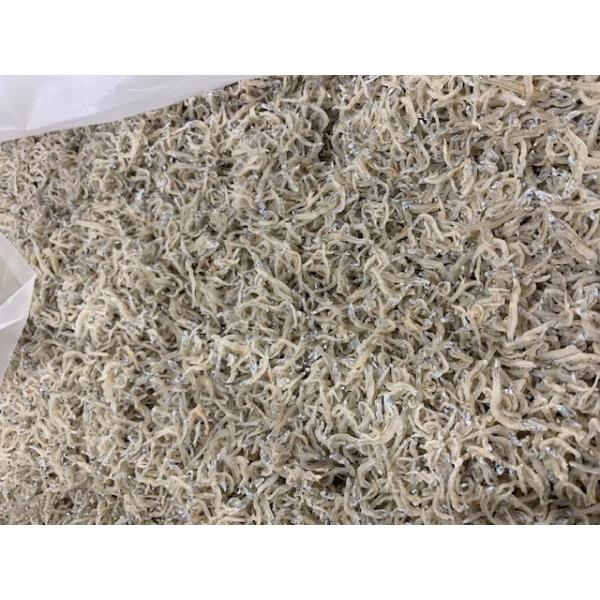 ߂񂶂Ⴑ@5kg@߂Rp@TCY@Y@ɌWHY@Y@Mtg@