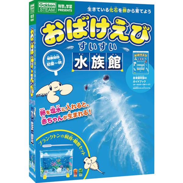 学研 教材 理科観察 生きている化石を卵から育てよう おばけえびすいすい水族館 J7506 Gakken J7506 教材自立共和国ヤフーショップ 通販 Yahoo ショッピング