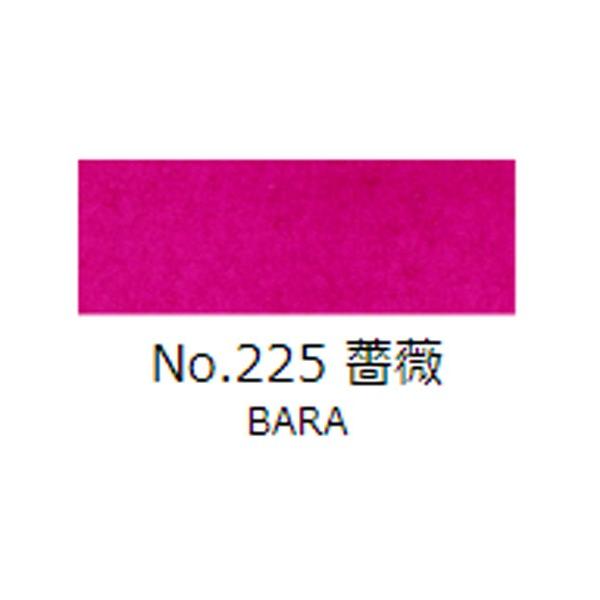 ʊG@gˁ@ʒPF@No.225iKNj