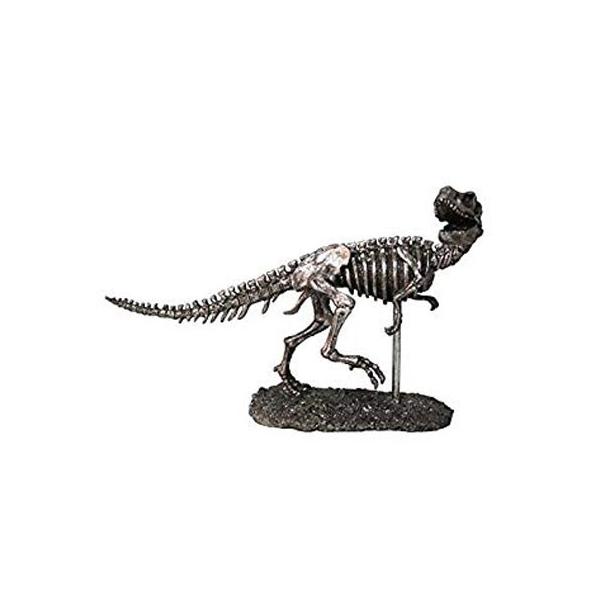 恐竜の化石 ティラノサウルス 恐竜の化石 オブジェ : 教材自立