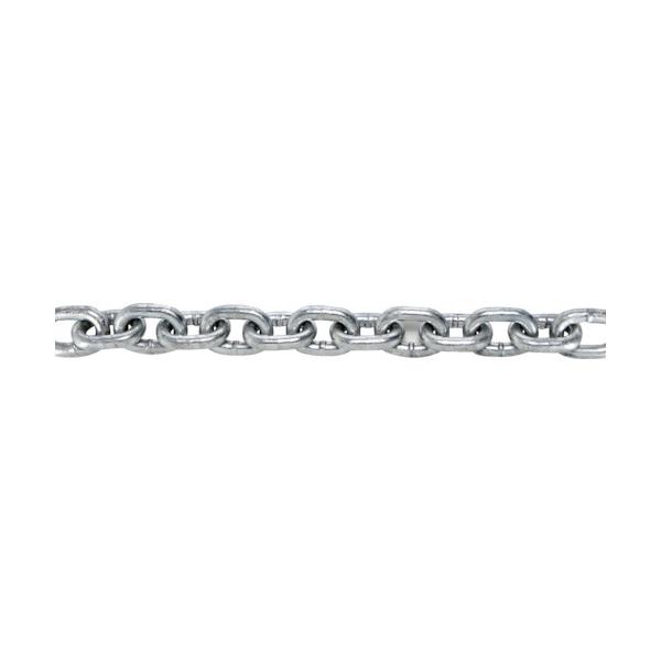日本正規代理店品 TRUSCO JIS F2106第一種規格相当 ロングリンクチェーン スチール ドブメッキ 線径6mm×長さ29.1M〜30.0M 〔品番:TIC-6-LG-D-30C〕 2535943 送料別途見積り,法人 事業所限定,直送 1rtdpj.com.br 日本正規代理店品 TRUSCO JIS F2106第一種規格相当 ロングリンクチェーン スチール ドブメッキ 線径6mm×長さ29.1M〜30.0M 〔品番:TIC-6-LG-D-30C〕 2535943 送料別途見積り,法人 事業所限定,直送 1rtdpj.com.br