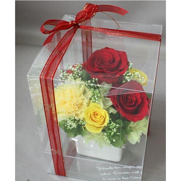 kyu-toyosi_ke-suakaki