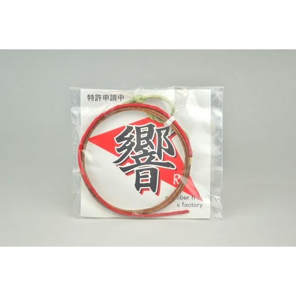 @y@Ri1{jz@|@a|@ ylR|Xz