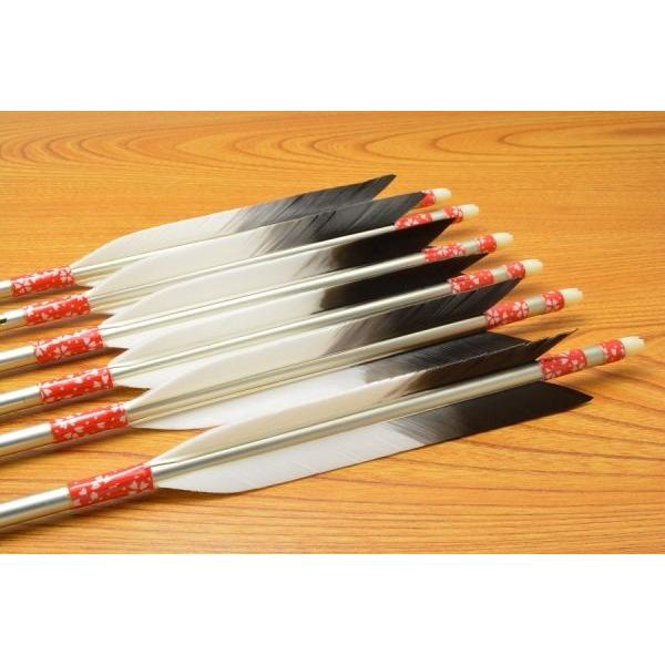 弓道 和弓 【矢 ジュラルミン 1913 シルバー 6本組 ターキー犬