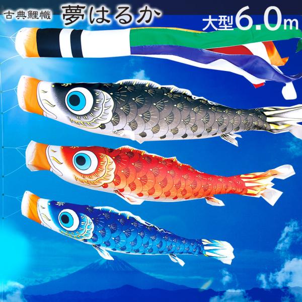 y11/20~27ԌISi|Cg3{Iẑڂ ^  i ͂邩 6 ̂ڂ6_Zbg ƖEO\