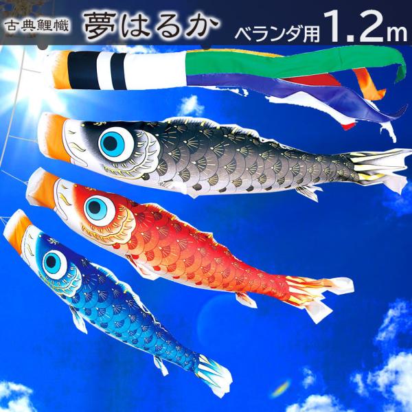 ̂ڂ v~Ax_X^hZbg ͂邩 1.2m i H ƖEO\