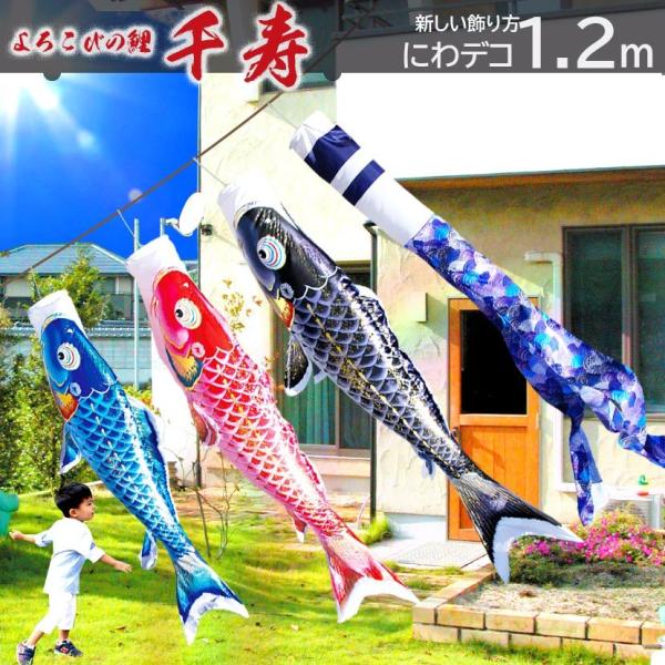 ̂ڂ ɂłZbg ̂ڂ 1.2m i |GXe H  ɂfR