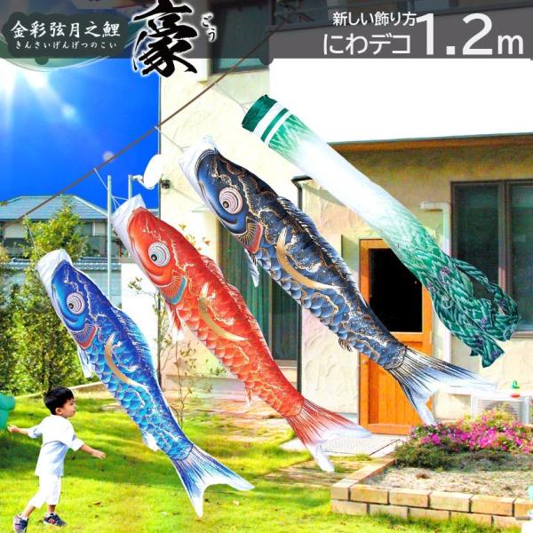 ̂ڂ ɂłZbg ̂ڂ 1.2m i |GXe H  ɂfR