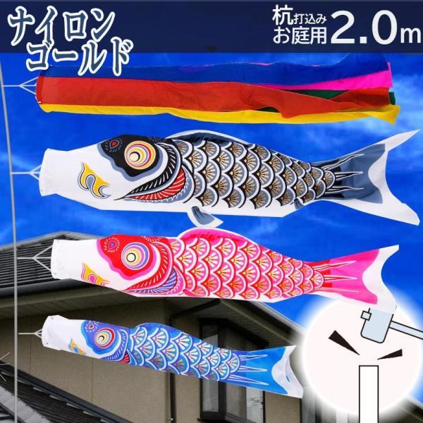 y11/20~27ԌISi|Cg3{Iẑڂ pYō݃Zbg ̂ڂ iCS[hiܐFj 2m ԁE|[t