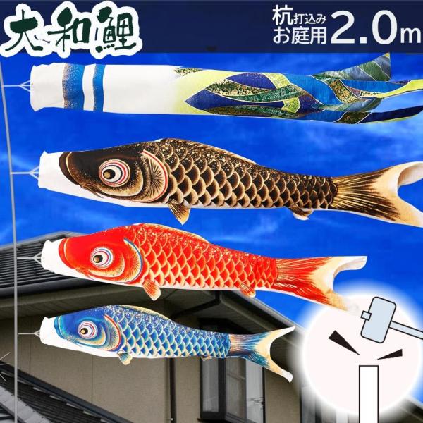 ̂ڂ pYō݃Zbg ̂ڂ a 2m  ԁE|[t ƖE\