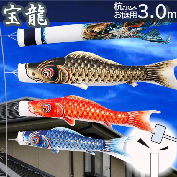 Y！2セット　補助杭付■激安！新品♪10号ポール 鯉のぼり用■ Amazon | 【5M鯉のぼり用】こいのぼり用ポール10号 Wパイル杭