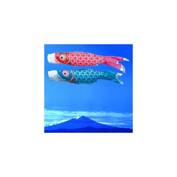 ̂ڂ Pi îڂ FT 0.8mt Piw̏ꍇ͂̂Ήł܂