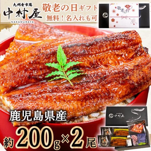 商品情報：うなぎ 蒲焼き 国産 鹿児島県産 鰻 ウナギ 蒲焼 かば焼き 鰻の蒲焼 うなぎ蒲焼き 送料無料 化粧箱 グルメ 特大小倉南、松中醤油との共同開発のオリジナル蒲焼のタレタレのベースは「麹造りに3日、熟成に約730日」かけて作るほどこ...